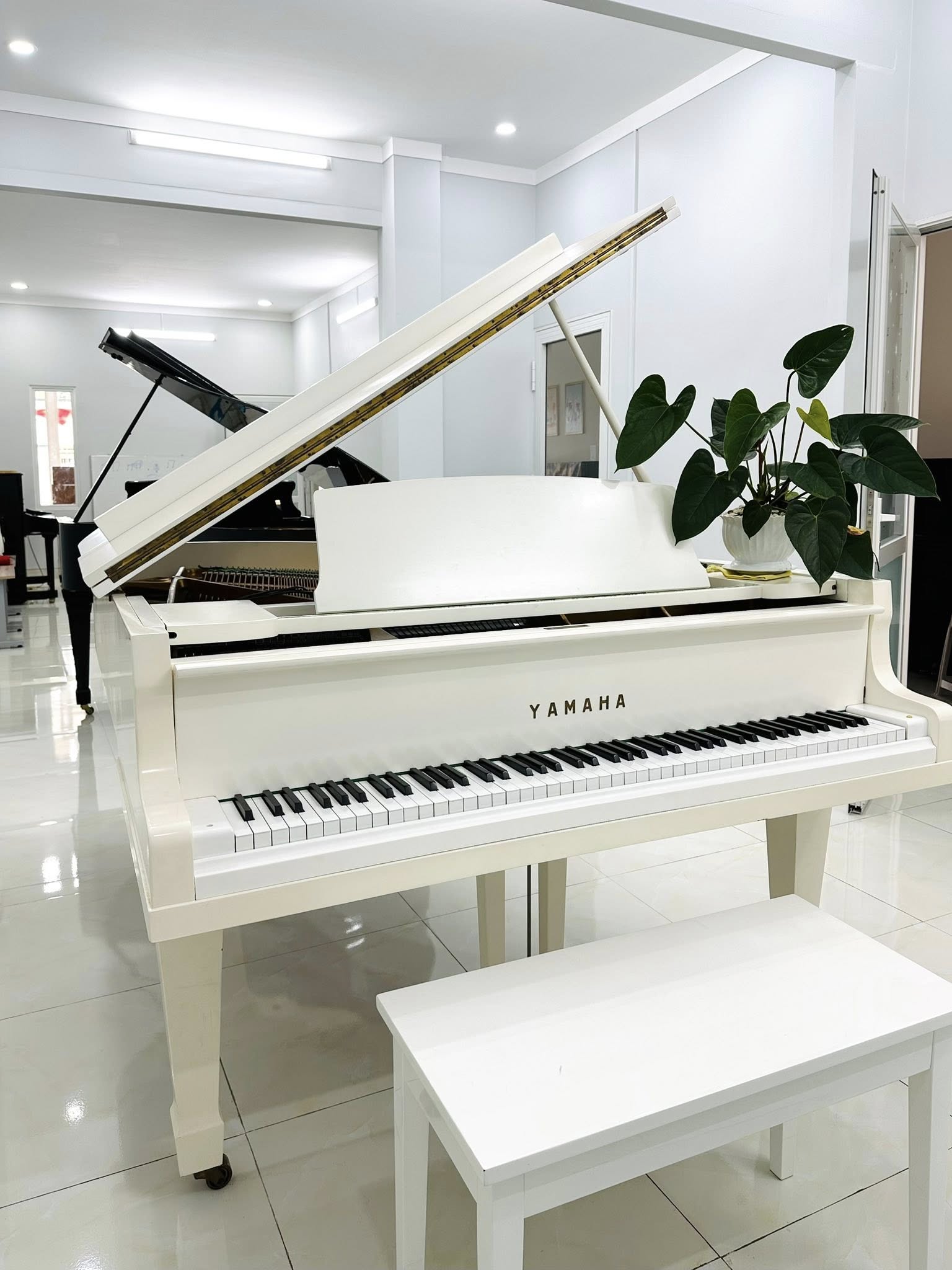 Yamaha G5