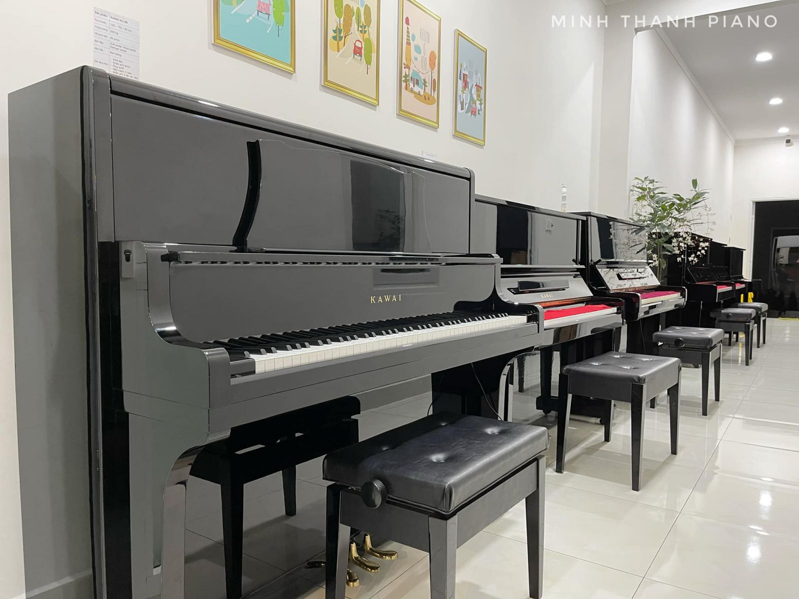 Dạy piano tại Bảo Lộc