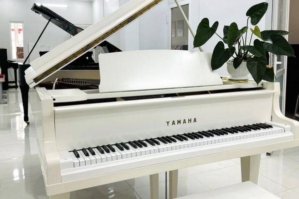 Yamaha G5 – Siêu phẩm Grand piano lý tưởng cho người học chuyên sâu
