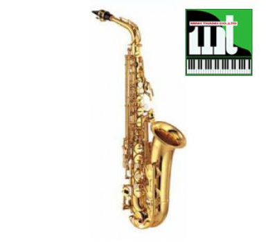 Kèn Saxophones Alto LB-353L