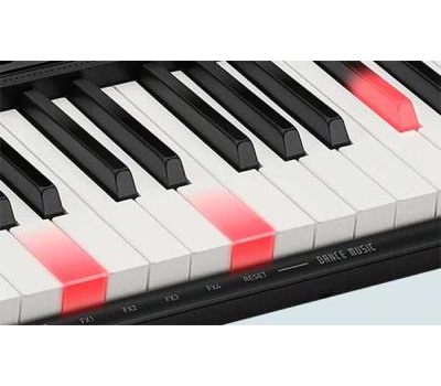 Casiotone LK-S250