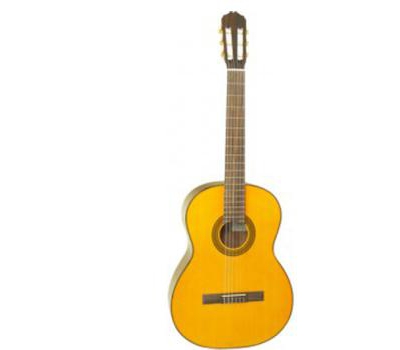 Đàn guitar classic Takamine D30