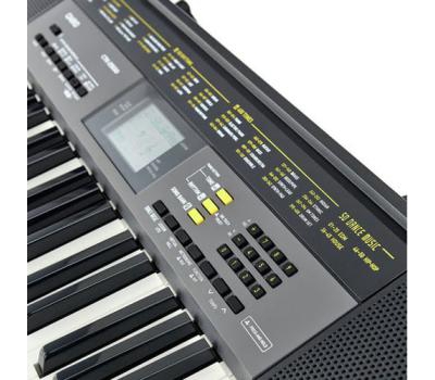 Organ Casio CTK-2500