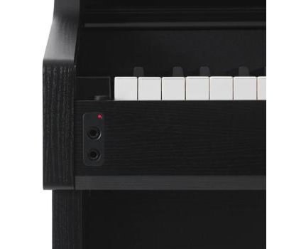 Piano điện Casio AP-650