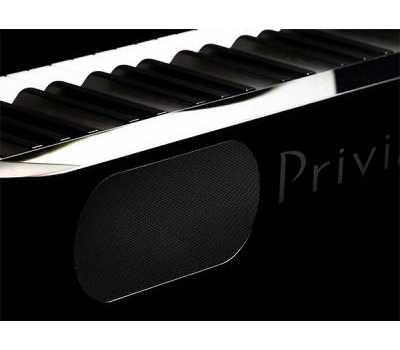 Piano Điện Casio PX-S1000