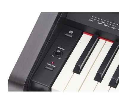 Đàn Piano Điện Roland RP-30