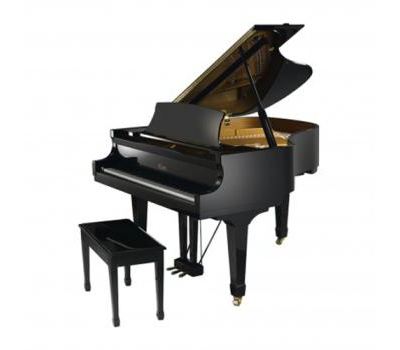 Đàn piano Essex EGP-161C