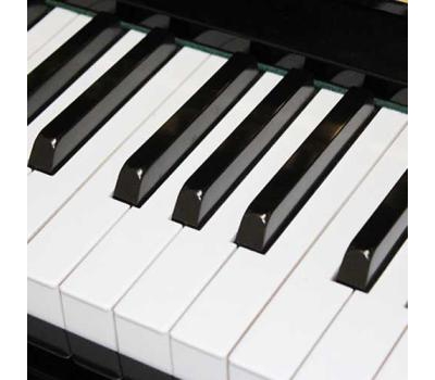 Đàn Piano Kawai BL61S