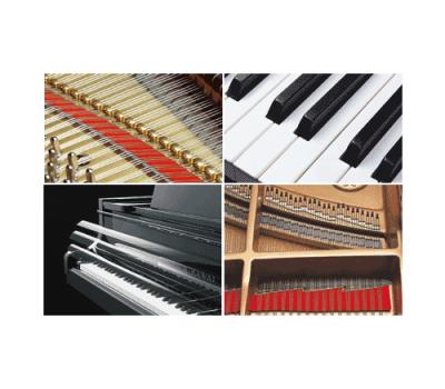 Đàn piano Kawai RX-5