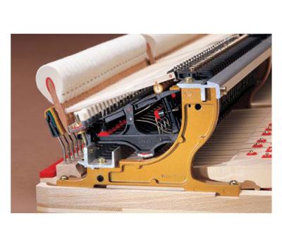 Đàn piano Kawai RX-5