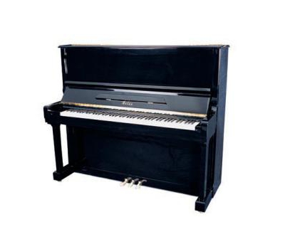 Đàn Piano Atlas 250