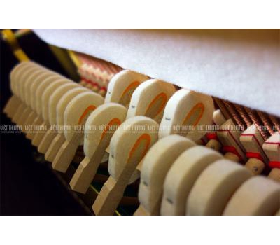 Đàn Piano Yamaha U10BL