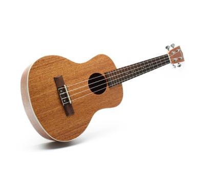 Đàn Ukulele Chateau C08-U2200