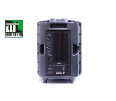 Loa amply FP 0115A