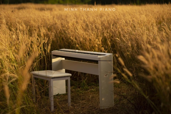 Các mức giá của đàn Piano điện tại Bảo Lộc