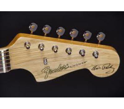 Guitar Fender Elvis Kingman