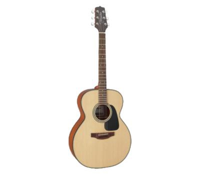 Đàn guitar Acoustic Takamine D1N NS