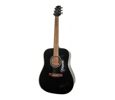 Đàn guitar acoustic Takamine D21