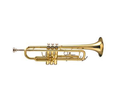 Kèn Trumpets Bach TR650DIR