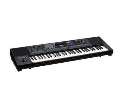 Đàn Organ Roland E-A7