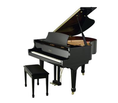 Đàn Piano Essex EGP-155R