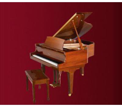 Piano Essex EGP-155T