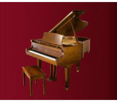 Đàn piano Essex EGP-161C