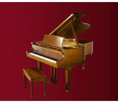 Đàn Piano Essex EGP-183C