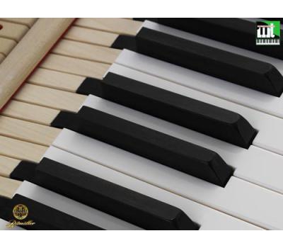 Đàn piano Ritmuller GP275R1